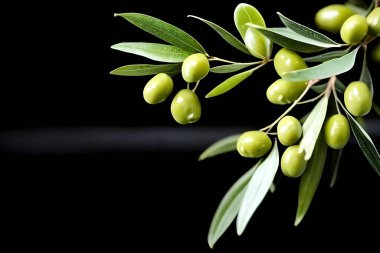 Healthy Fresh Olives with a Splash of Water clipart