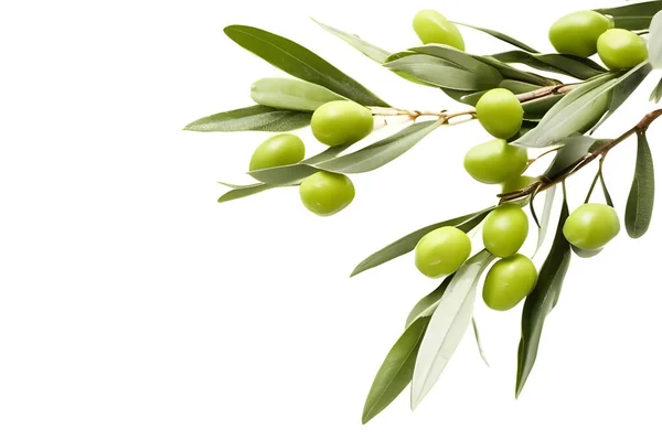 Healthy Fresh Olives with a Splash of Water