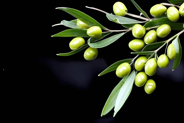 Healthy Fresh Olives with a Splash of Water