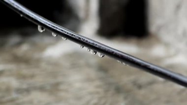 Sızdıran küçük siyah bir hortumdan bulanık bir arka plana su damlıyor.