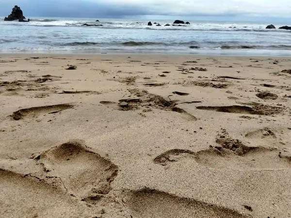 Kumsalın kenarında insan ayak izleri var. Beyaz kum. Sakin dalgalarla deniz manzarası