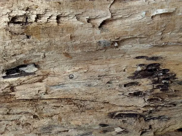 Yıpranmış ahşap yüzey dokusu arka planı. kaba ve çatlak