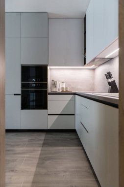 Modern kitchen with built in appliances of apartment