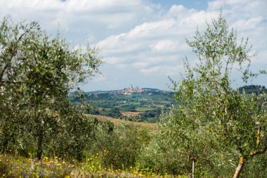 View of Tuscan village San Gimignano with fields, meadows and vineyards, Tuscany, Italy