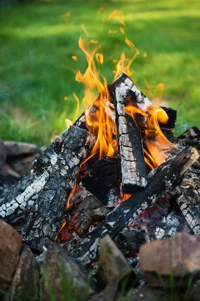Campfire Grass Backgound — Photo