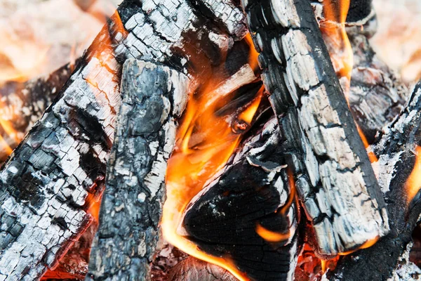 Gros Plan Bois Brûlé Dans Cheminée — Photo