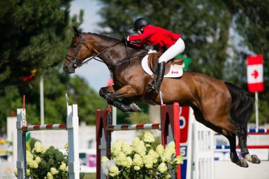 BRATISLAVA, SLOVAKIA - AUGUST 10: Macpherson Jordan (CAN) on horse Piccobello du Val de Geer jumps over hurdle during Mercedes-Benz Grand Prix Bratislava, Slovakia on August 10, 2014