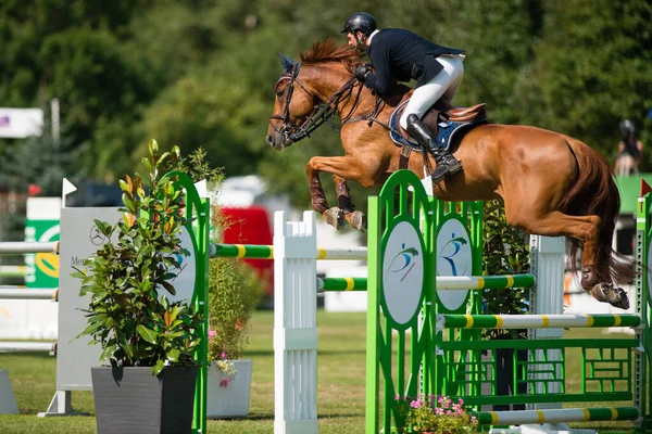 BRATISLAVA, SLOVAKIA - AUGUST 10: Kovacs Kaarlo (FIN) on horse Agropoint Cassius jumps over hurdle during Mercedes-Benz Grand Prix Bratislava, Slovakia on August 10, 2014