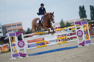 PEZINOK, SLOVAKIA - JUNE 29: Radovan Cibere (SVK) on horse Dollar-Look Vant A jumps over hurdle on Rozalka Cup 2014 on June 29, 2014 in Pezinok, Slovakia