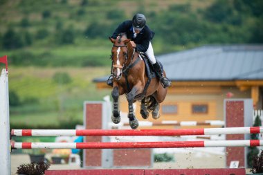 PEZINOK, SLOVAKIA - JUNE 29: Marek Klus on horse Al Cambero Eurobit jumps over hurdle on Rozalka Cup 2014 on June 29, 2014 in Pezinok, Slovakia