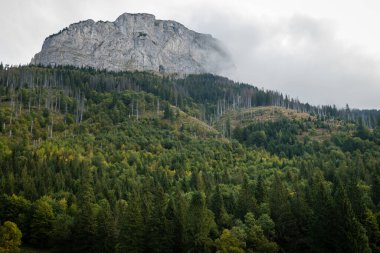 Bulutlardaki Muran Tepesi, Ulusal Park Belianske Tatras, Slovakya