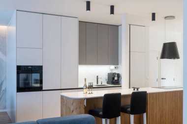 Modern kitchen with built in appliances