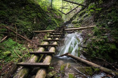 Kanyonda merdiveni olan dağ deresi, Slovakya Ulusal Parkı Slovakya Cenneti