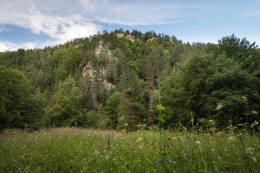Slovakya 'daki Slovak Paradise Ulusal Parkı' nda Tomas 'ın görüş alanının altındaki çayır