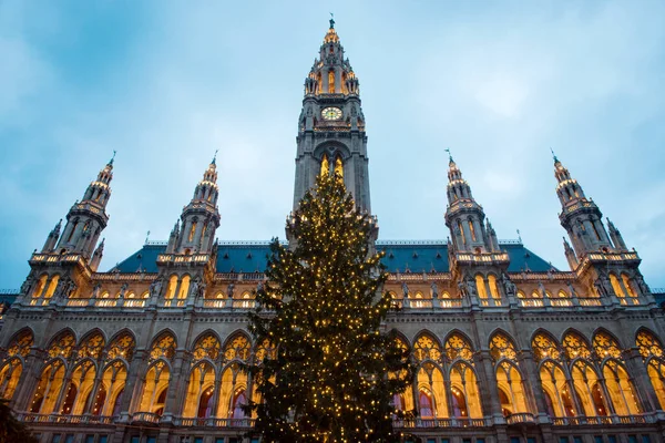 Árvore Natal Frente Câmara Municipal Rathaus Viena Áustria — Fotografia de Stock