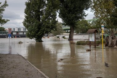 BRATISLAVA, SLOVAKIA - 17 SEP 2024: Tuna Nehri 'nin yüksek suları Petrzalka, Bratislava' daki tüm Tyrsovo setini sular altında bıraktı