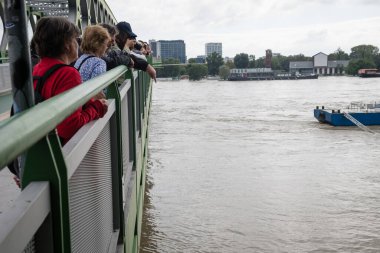 BRATISLAVA, SLOVAKIA - 17 SEP 2024: İnsanlar Bratislava, Slovakya 'daki Eski Köprü' den Tuna Nehri 'nin yükselen seviyesini izliyor