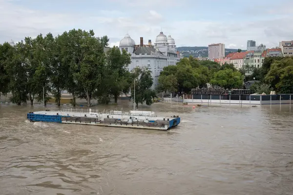 stock image BRATISLAVA, SLOVAKIA - SEP 17, 2024: High water on Danube river in Bratislava city center, Slovakia