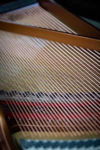 Yeni kuyruklu piyanonun içinde, sicimler yakın plan, alanın derinliği