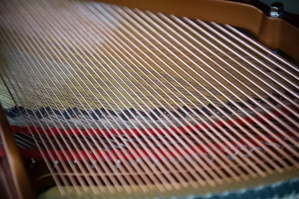 Yeni kuyruklu piyanonun içinde, sicimler yakın plan, alanın derinliği