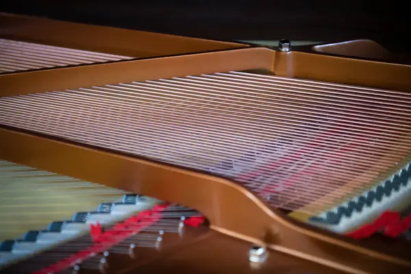 Yeni kuyruklu piyanonun içinde, sicimler yakın plan, alanın derinliği