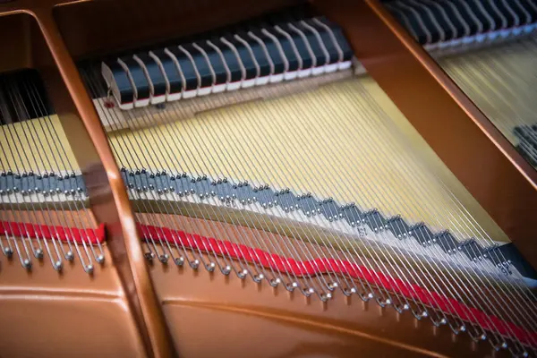 Yeni kuyruklu piyanonun içinde, sicimler yakın plan, alanın derinliği
