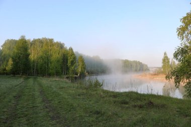 Nehirde sisli bir yaz sabahı, kıyıda huş ağaçları. Açık havada seyahat et..