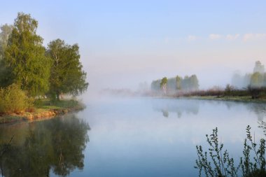 Nehirde sisli bir yaz sabahı, kıyıda huş ağaçları. Açık havada seyahat et..