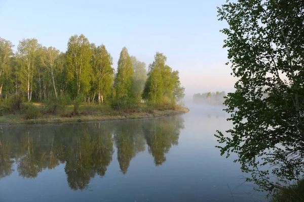 Sommermorgen Fluss Mit Nebel Birken Ufer Reisen Freien — Stockfoto