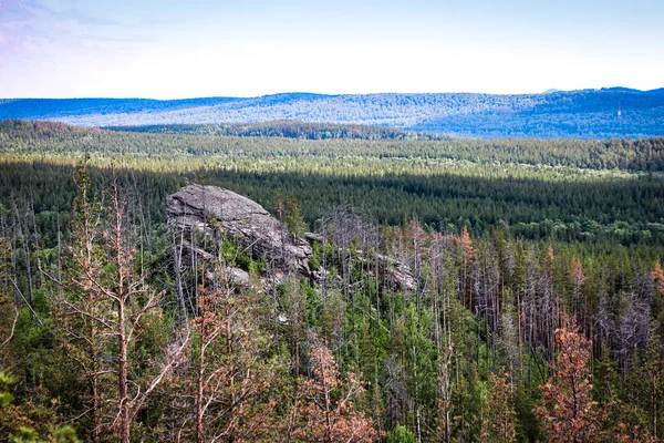 Una Piedra Roca Desnuda Solitaria Entre Bosque Quemado Contra Telón — Foto de Stock