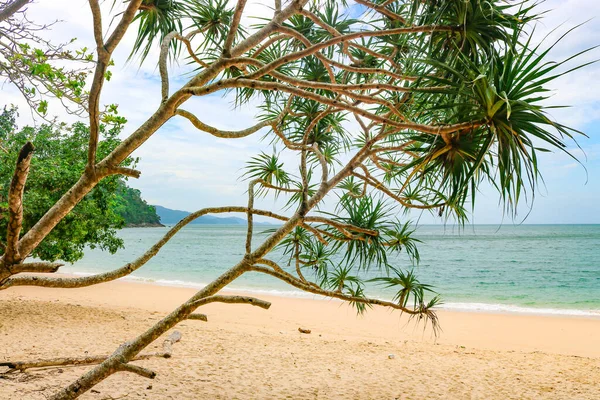 Schöner Sandstrand Auf Einer Unbewohnten Insel Perfekte Landschaft Hintergrund Für — Stockfoto
