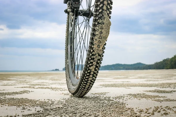 Mountain bike wheel on the sand on the beach, travel on a tropical island. The concept of cycling in unusual places.
