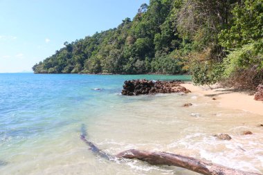 Turkuaz denizin arka planına karşı kumlu ve kayalık plaj, tropik cennet, tatil ve dinlenme zamanı..