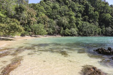Turkuaz denizin arka planına karşı kumlu ve kayalık plaj, tropik cennet, tatil ve dinlenme zamanı..