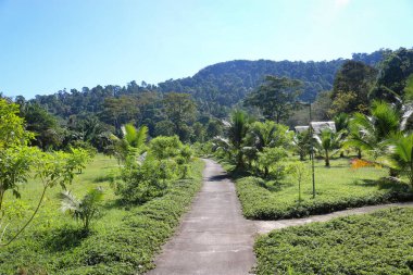 Tropikal bir adada özel bir tatil köyünün bölgesi. Seyahat, tatil, rahatlama kavramı.