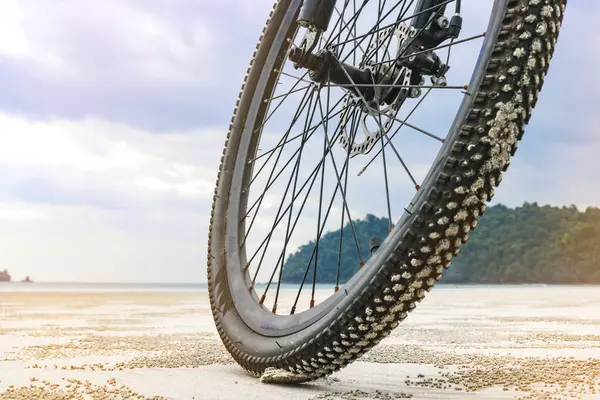 Mountain bike wheel on the sand on the beach, travel on a tropical island. The concept of cycling in unusual places.