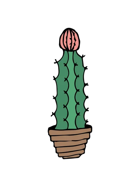 Illustration Doodle Cactus Sur Blanc Illustration Doodle Coloré Cactus Dans — Image vectorielle