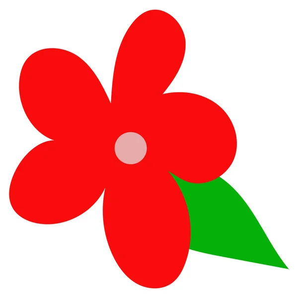 Δέσμη Από Φωτεινή Άνοιξη Καλοκαιρινά Λουλούδια Ανοιξιάτικο Φύλλωμα — Διανυσματικό Αρχείο