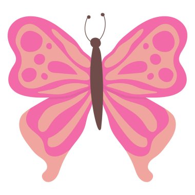 Kelebek renkli kelebek izole edilmiş, Güzel Kelebek çizimi. Vektör illüstrasyonu