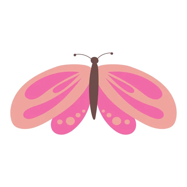 Πεταλούδα Πολύχρωμο Πεταλούδα Απομονωμένη Όμορφη Πεταλούδα Εικόνα Εικονογράφηση Διανύσματος — Διανυσματικό Αρχείο