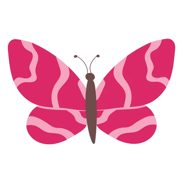 Motyl Kolorowy Motyl Odizolowany Piękny Motyl Ilustracja Ilustracja Wektora — Wektor stockowy