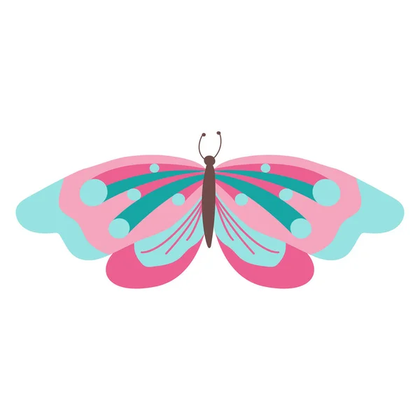 Motýl Barevný Motýl Izolované Krásný Motýl Ilustrace Vektorová Ilustrace — Stockový vektor