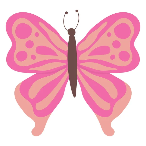 Schmetterling Bunte Schmetterling Isoliert Schöne Schmetterling Illustration Vektorillustration — Stockvektor