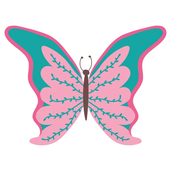 Mariposa Colorida Mariposa Aislada Hermosa Mariposa Ilustración Ilustración Vectorial — Vector de stock