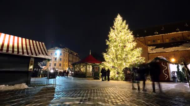 Διακοσμημένο Και Φωτισμένο Χριστουγεννιάτικο Δέντρο Χριστουγεννιάτικη Αγορά Και Καθεδρικός Ναός — Αρχείο Βίντεο