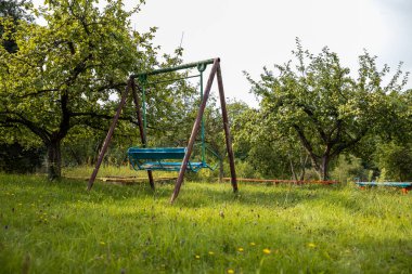 Old Swing in a Lush Apple Orchard