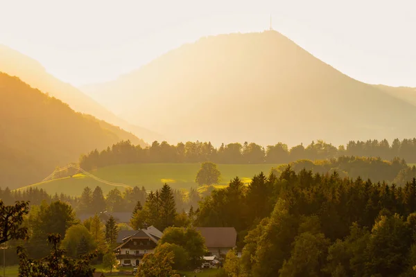 Vacker Gyllene Topp Skönheten Solnedgången Alpina Bergen — Stockfoto
