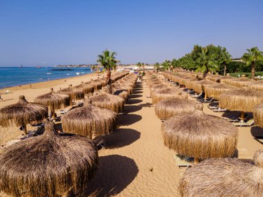Plaj sandalyeleri ve palmiye ağaçları olan tropikal plaj mevkiinin büyüklüğünü ve güzelliğini gözler önüne seriyor, yaz adasında tatil ve dinlenme hizmeti veriyor.