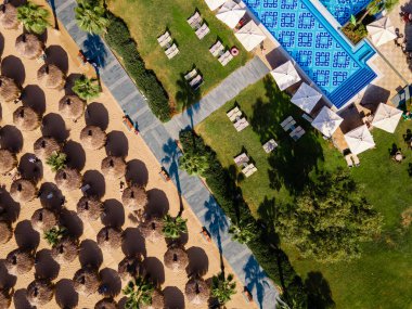 Plaj sandalyeleri ve palmiye ağaçları olan bir sahil manzarası. Lüks bir yaz adası tatili kavramının somutlaştırılmış hali. Rahatlama ve huzurlu bir kaçış.