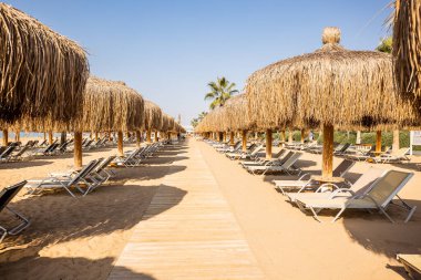 Maldivler 'de bir plajda hasır şemsiyeler ve güneşlikler